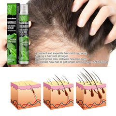 Ginger Plant Extract Anti-Hair Loss Hair Serum